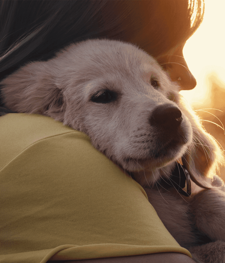 10 emotional signs your dog's bond with you is stronger than most ...