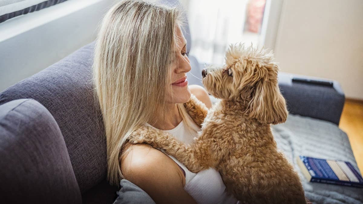 10 signs your dog is happy, relaxed and trusts you