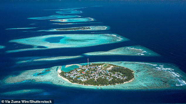 University professor and daughter among 5 killed diving in Maldives