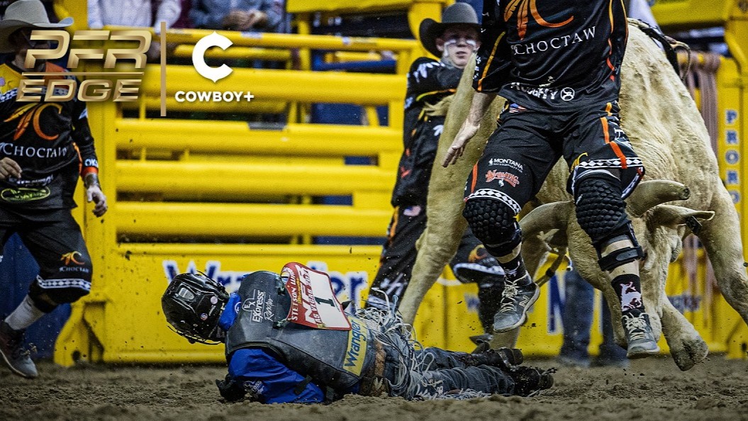 They thought it was over - then the bull came back