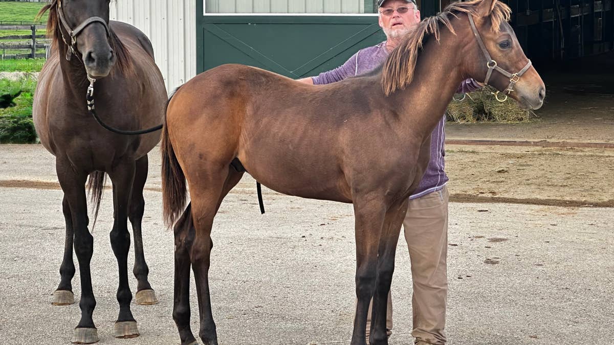 ‘Feel like I’ve won the lottery’: Third-generation homebred Crupper ...