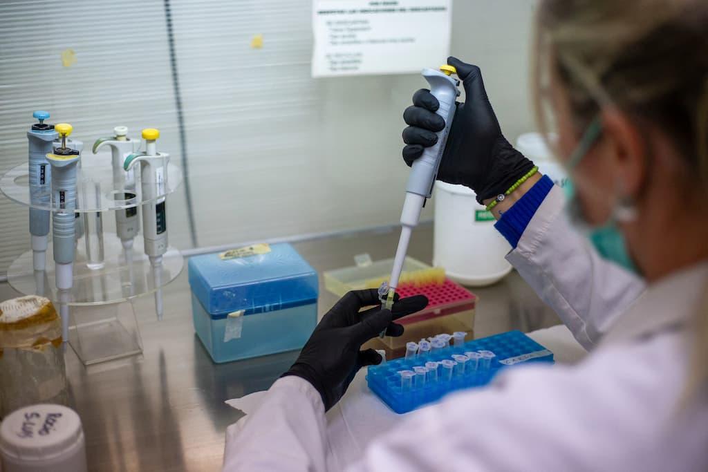 Hantavirus : quel est ce projet de vaccin qui pourrait être lancé ...