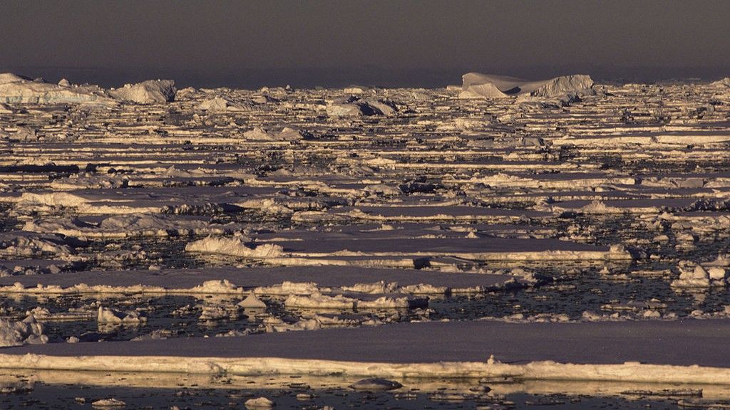 Scientists solve one of the most extreme and confusing events in the modern climate record