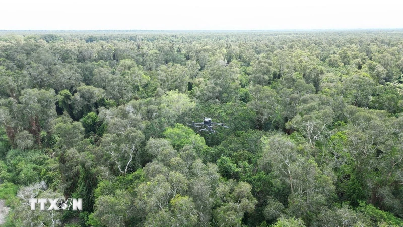 Cà Mau triển khai camera 4K, flycam tầm nhiệt chống cháy rừng mùa khô