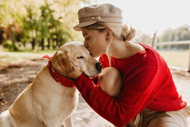 7 things dying dogs often do before saying goodbye