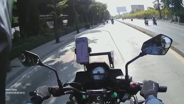 Bird crashes head first into oncoming motorcycle rider