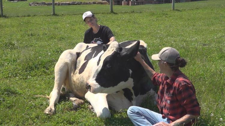 Mission matters: Lancaster Farm Sanctuary offers hope and healing for ...