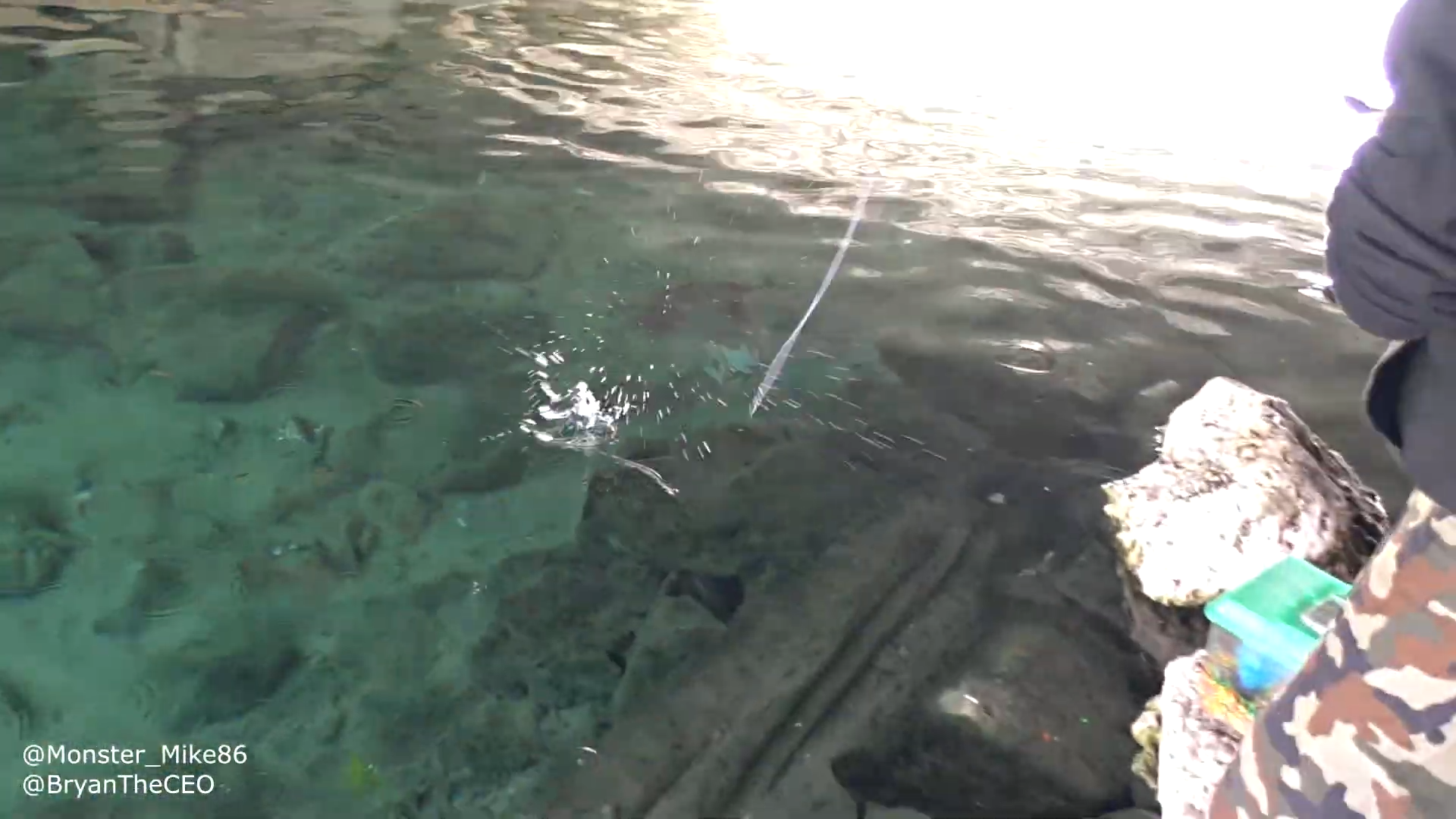 Building an exotic fish aquarium from scratch