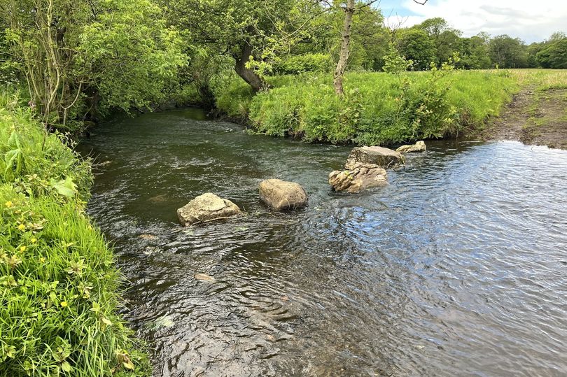 Welsh river 'devoid of life' after one of Wales' worst sewage pollution ...