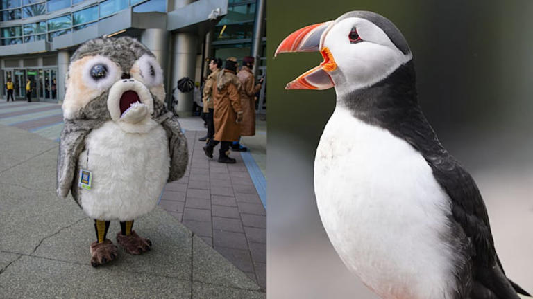 The real animals that inspired 9 of Star Wars' weirdest creatures