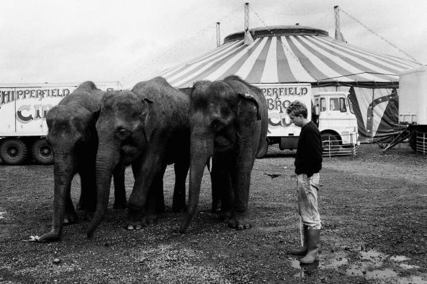 Nostalgia as Warrington residents recalls Chipperfields circus visit