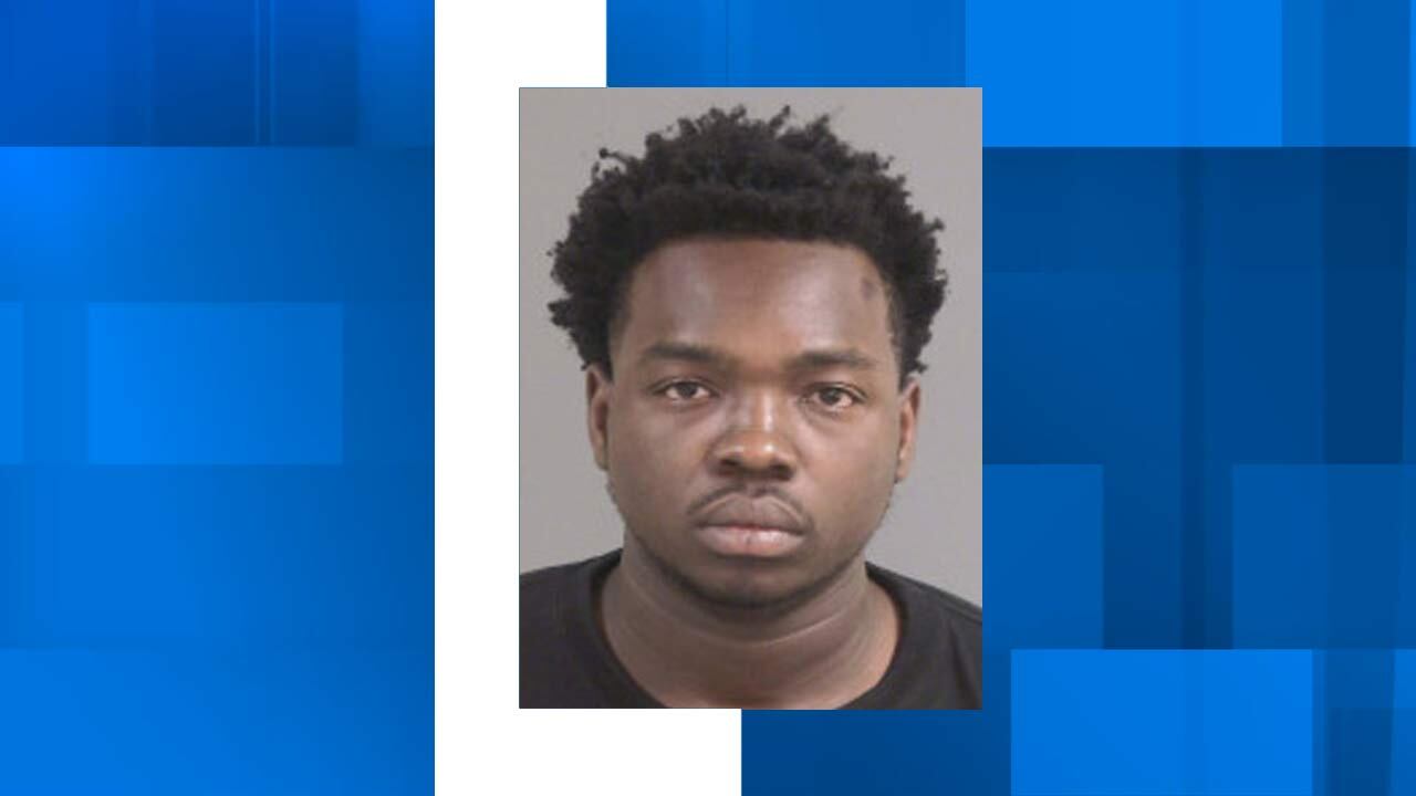 North Charleston man arrested after fleeing traffic stop