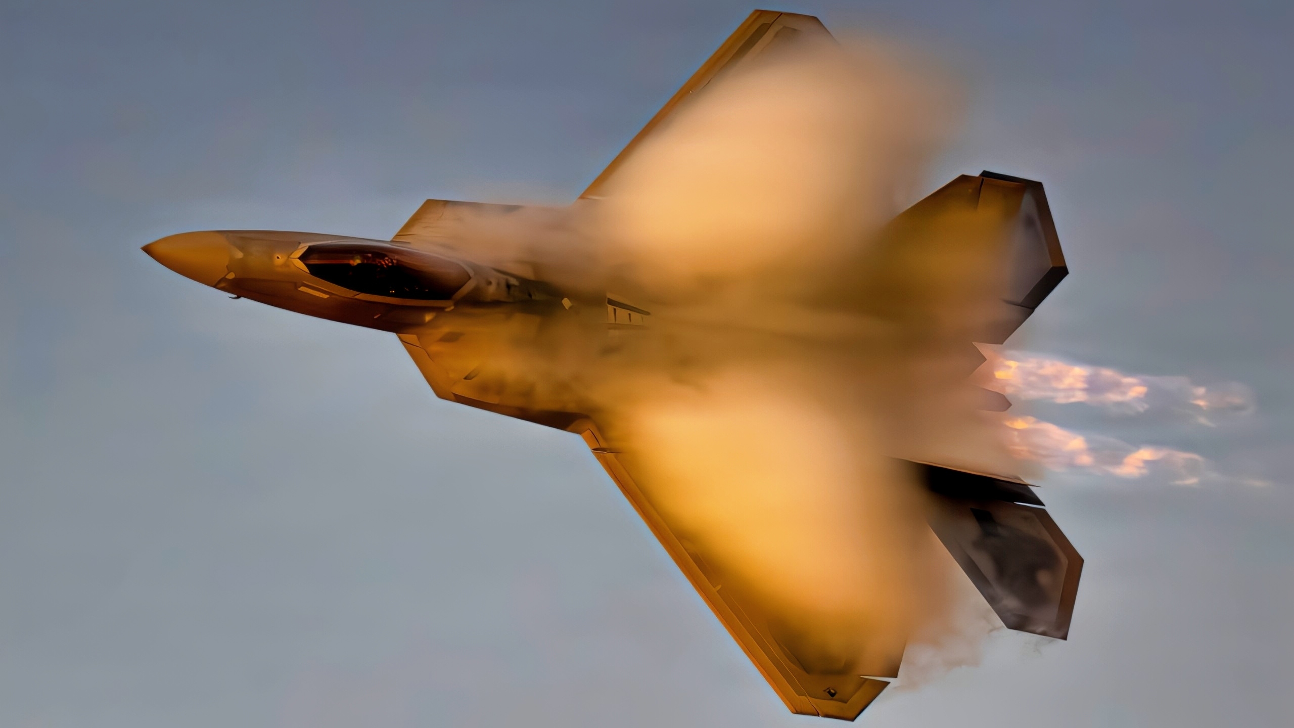 Stealth fighter down: $334,000,000 F-22 Raptor was 'shot down' by cheap ...