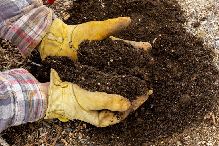 We asked gardening pros what the best soil for vegetable gardens is ...