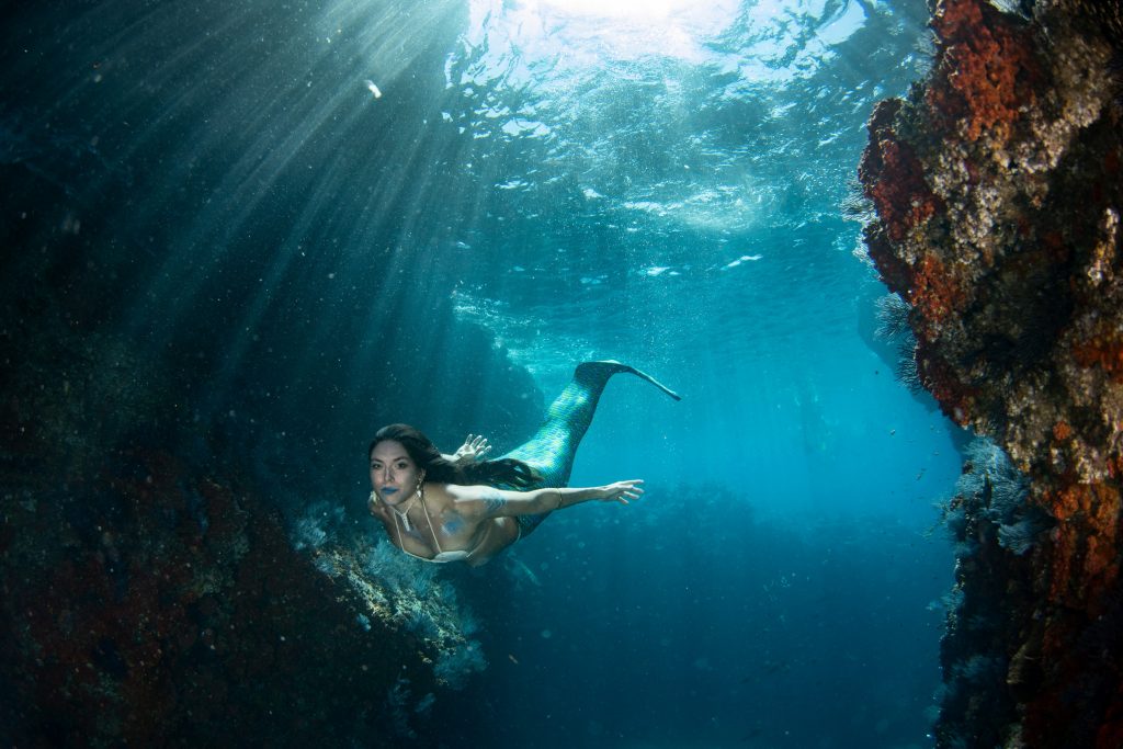 How mermaids became the most beautiful and deadly creatures in folklore