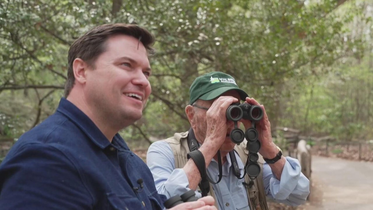 Study finds birding may boost brain health and guard against cognitive ...