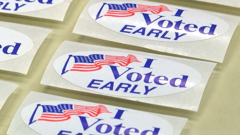 Joint primary runoff election early voting begins Monday
