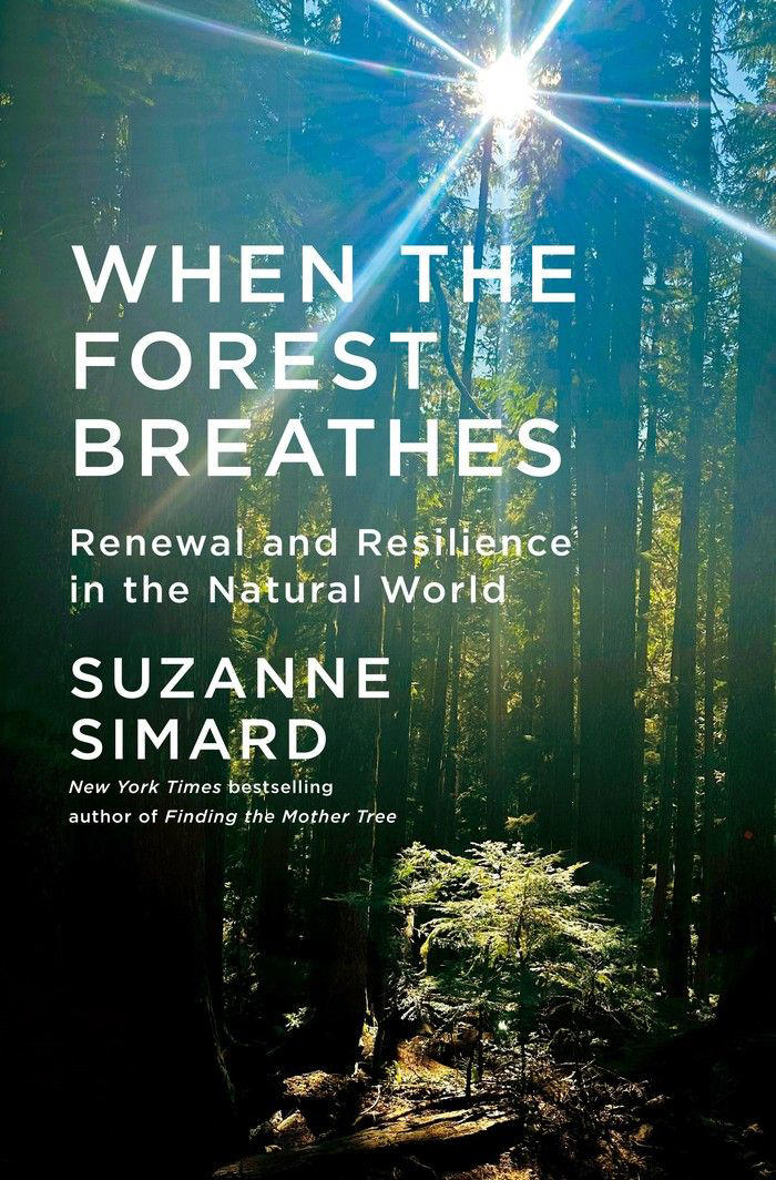 Finding the Mother Tree author digs deep into forest renewal for new book