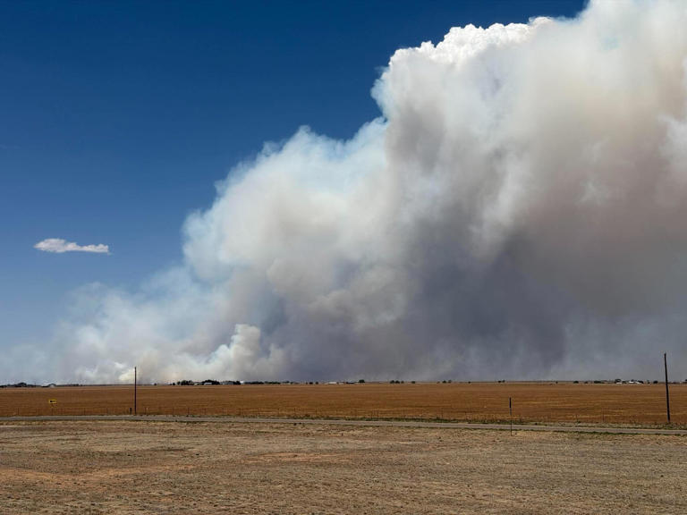 Stinky fire in Potter County is 100% contained
