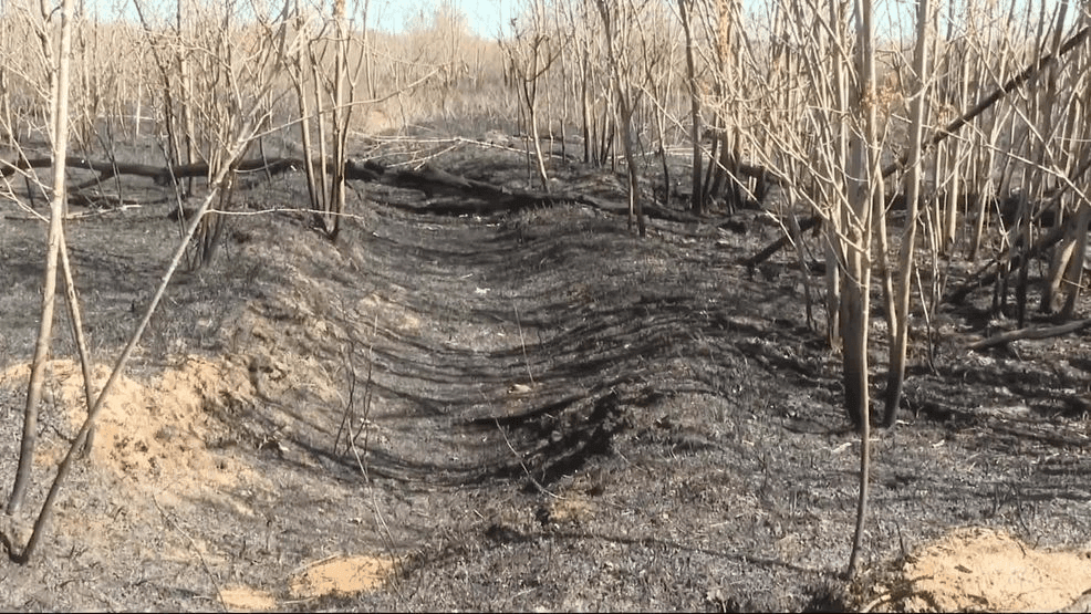 Why prescribed burns are happening across northern Michigan this spring