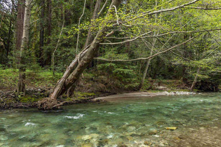 best-california-camping-in-2026-find-top-campgrounds-prices-and