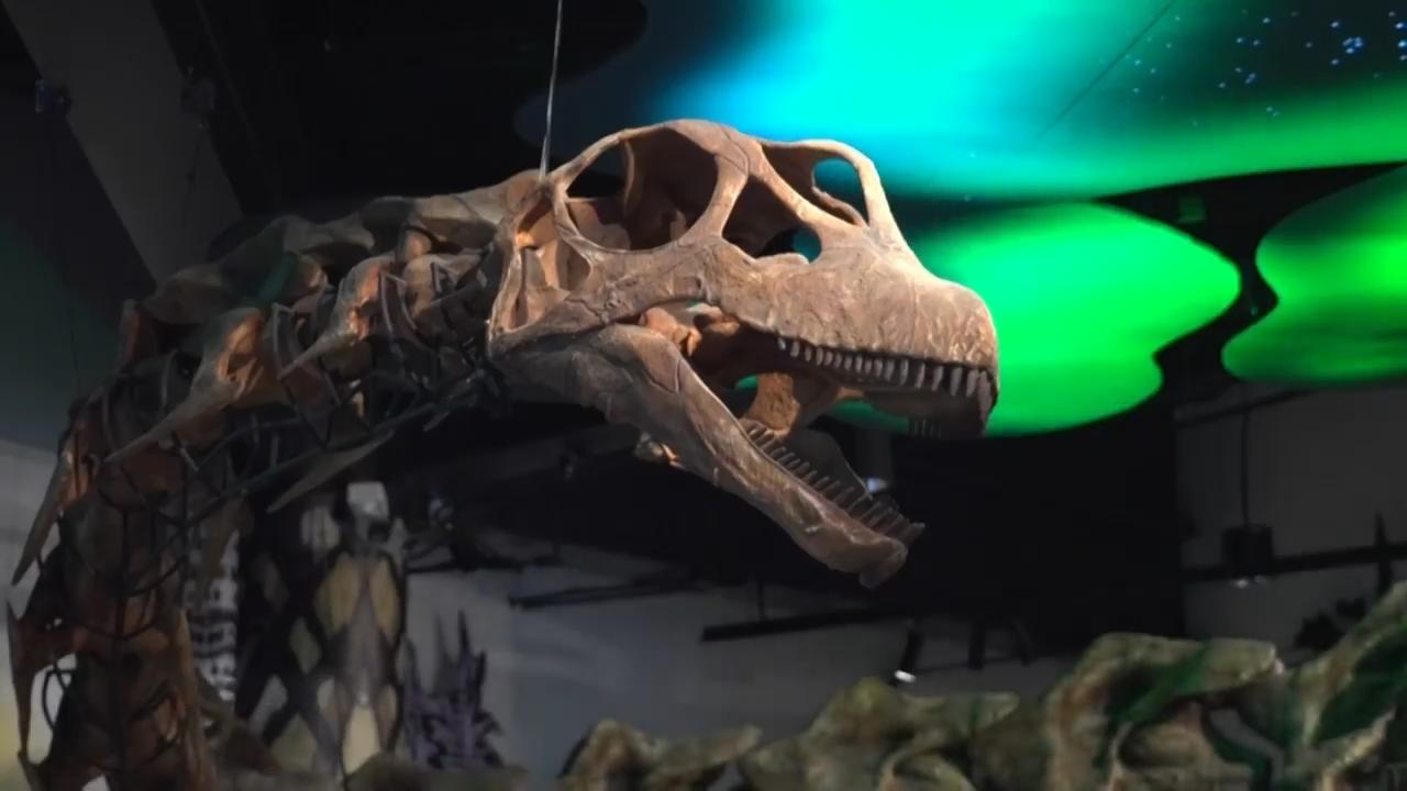 Researchers unearth Southeast Asia's largest dinosaur