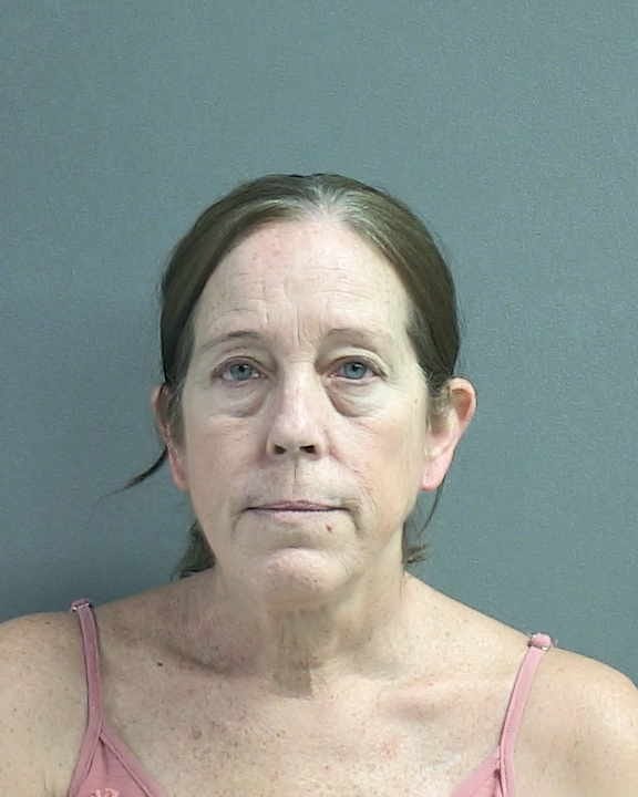 New Smyrna Beach woman sentenced for embezzling $146K, cops say