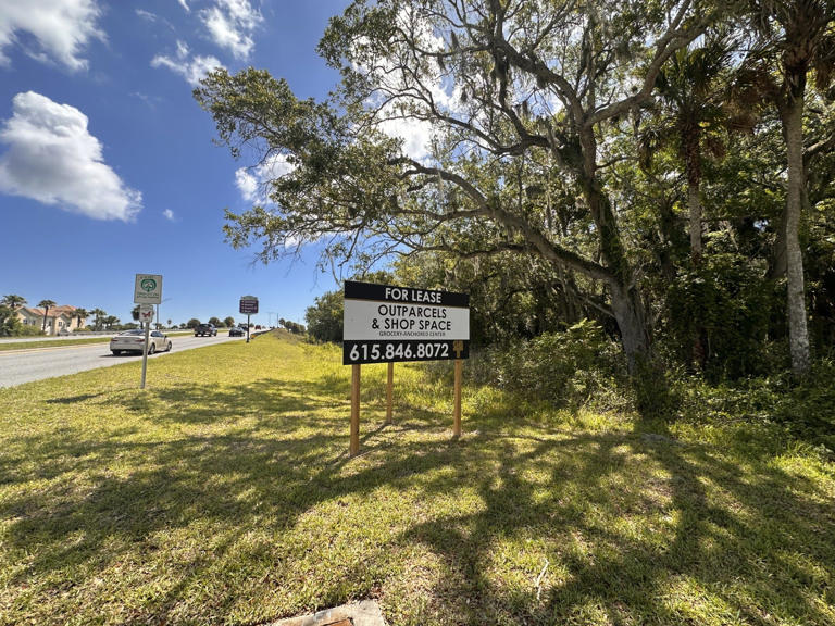 Sprouts, TJ Maxx coming to NSB, but will traffic be a problem?