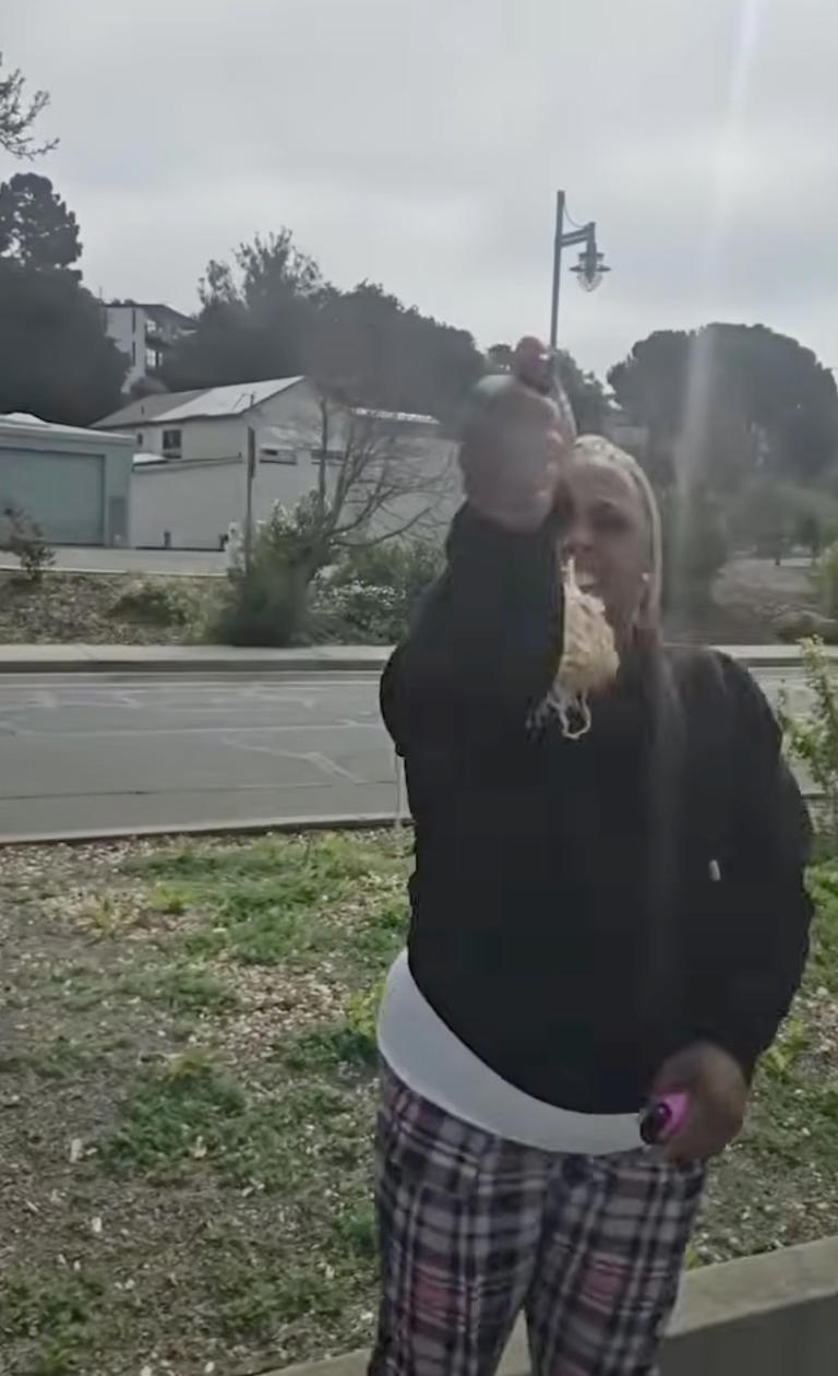 Wild chase leads to arrest of road-rage suspect accused of pepper ...