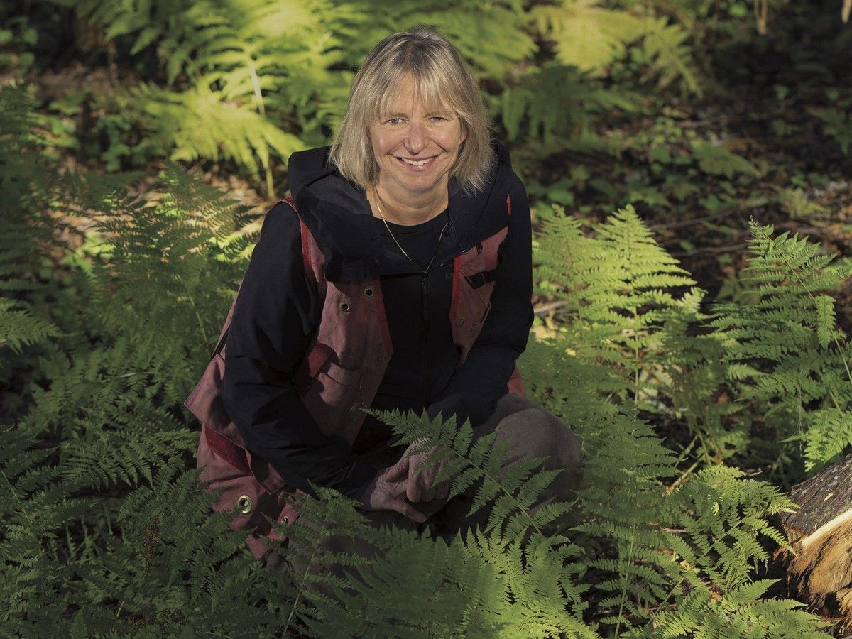 Finding the Mother Tree author digs deep into forest renewal for new book