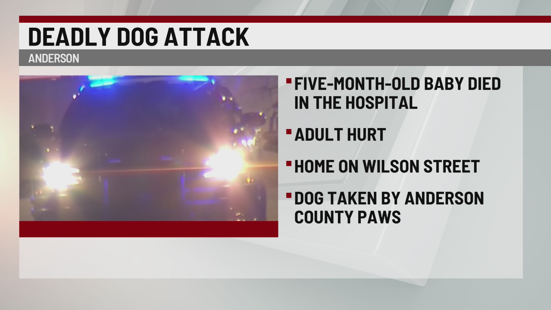 Infant dies after dog attack in Anderson County