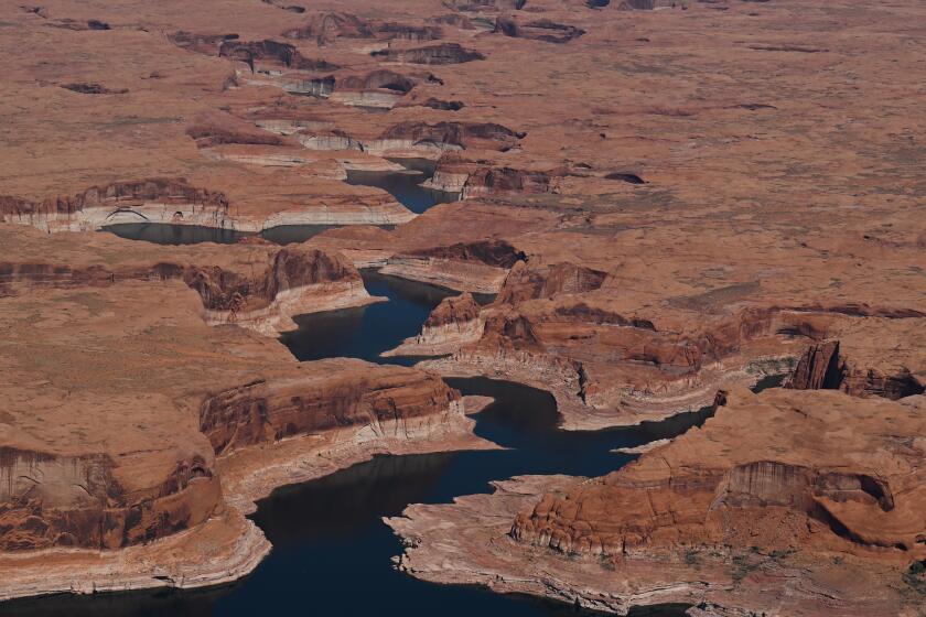 Trump administration readying a plan to impose Colorado River water cuts on western states