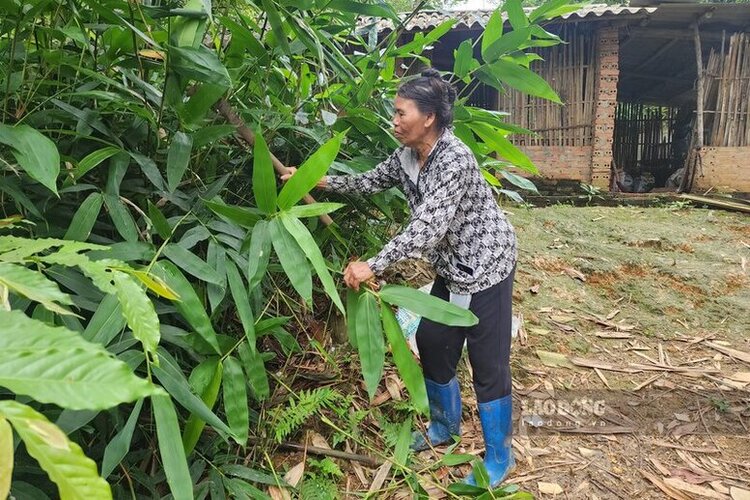 Phú Thọ đặt mục tiêu xóa nhà tạm, nhà dột nát vào năm 2026