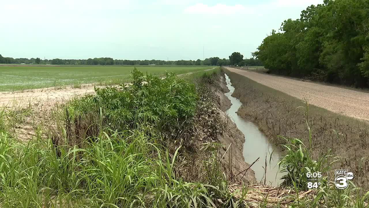 Poor drainage along North Riceland Road in Mire floods fields and ...
