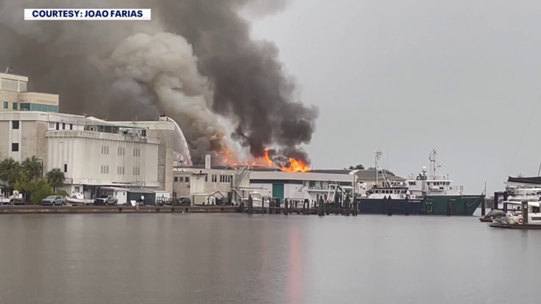 St. Pete community rallies to help rebuild after fire destroys USF ...