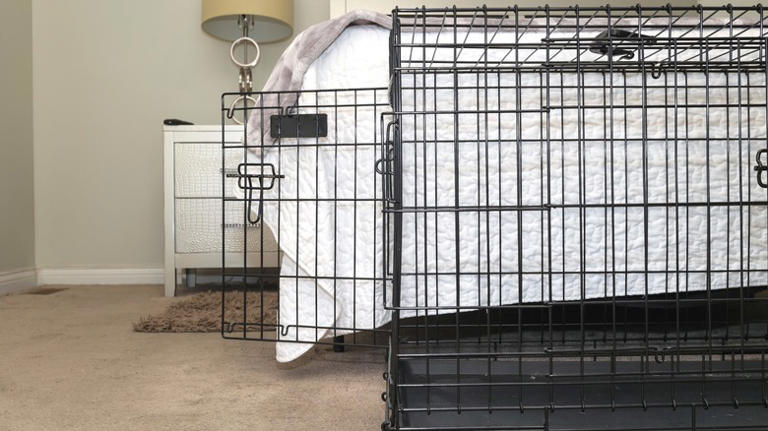 Say goodbye to the eyesore of a dog crate with a clever DIY solution - Home Interior Dog Crate Decor