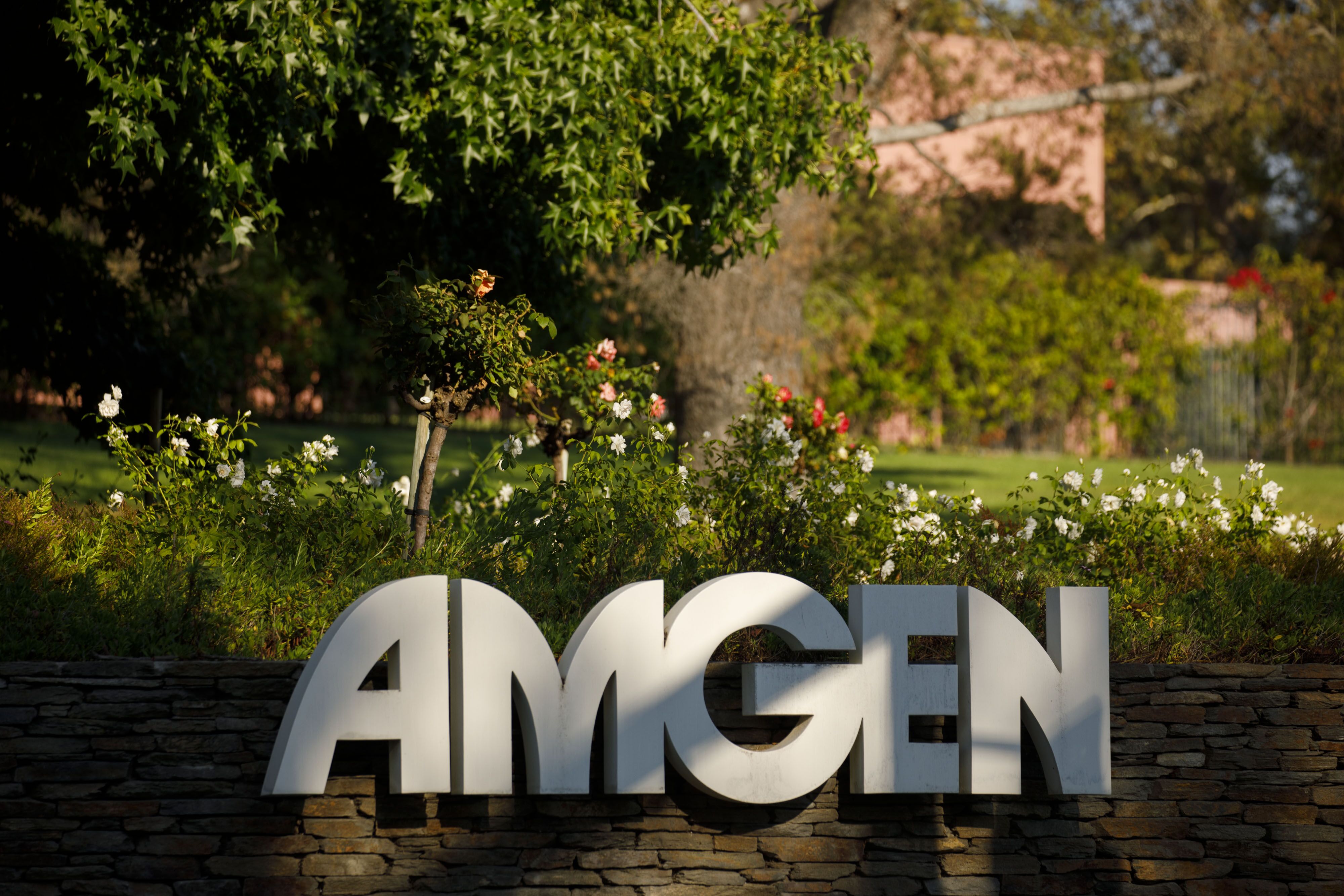 Amgen's Tavneos discouraged by Japanese partner after deaths