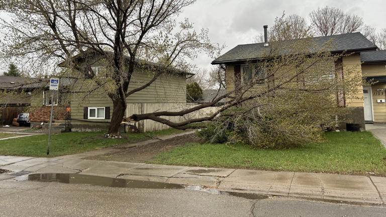 Texas Panhandle VOAD brings cleanup crews, aid agencies to Amarillo ...
