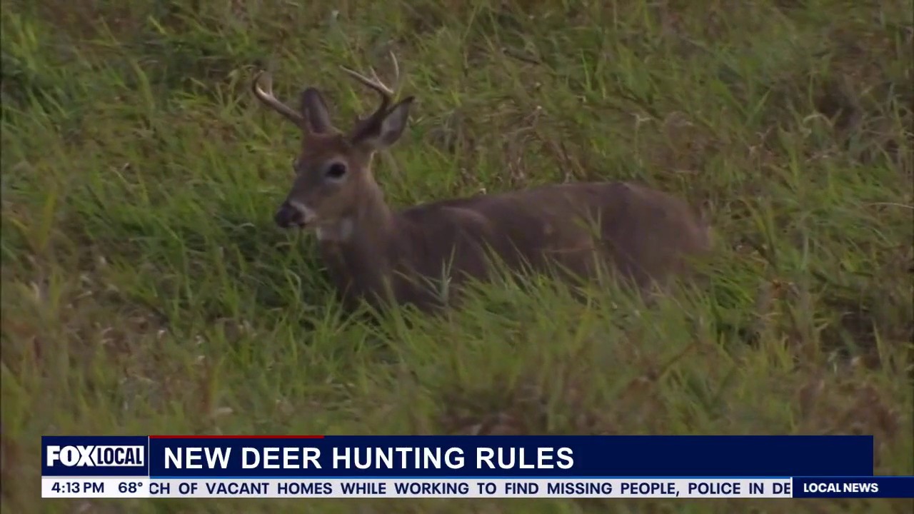 DNR discusses new rules for deer hunting season