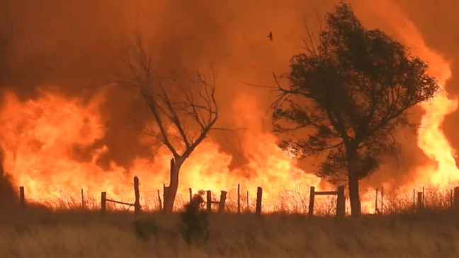 Hunggate fire burns more than 14,000 acres in Randall County