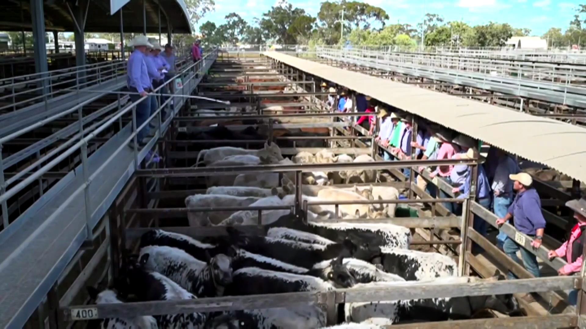 Calls for drought declaration as southern Queensland graziers begin to ...