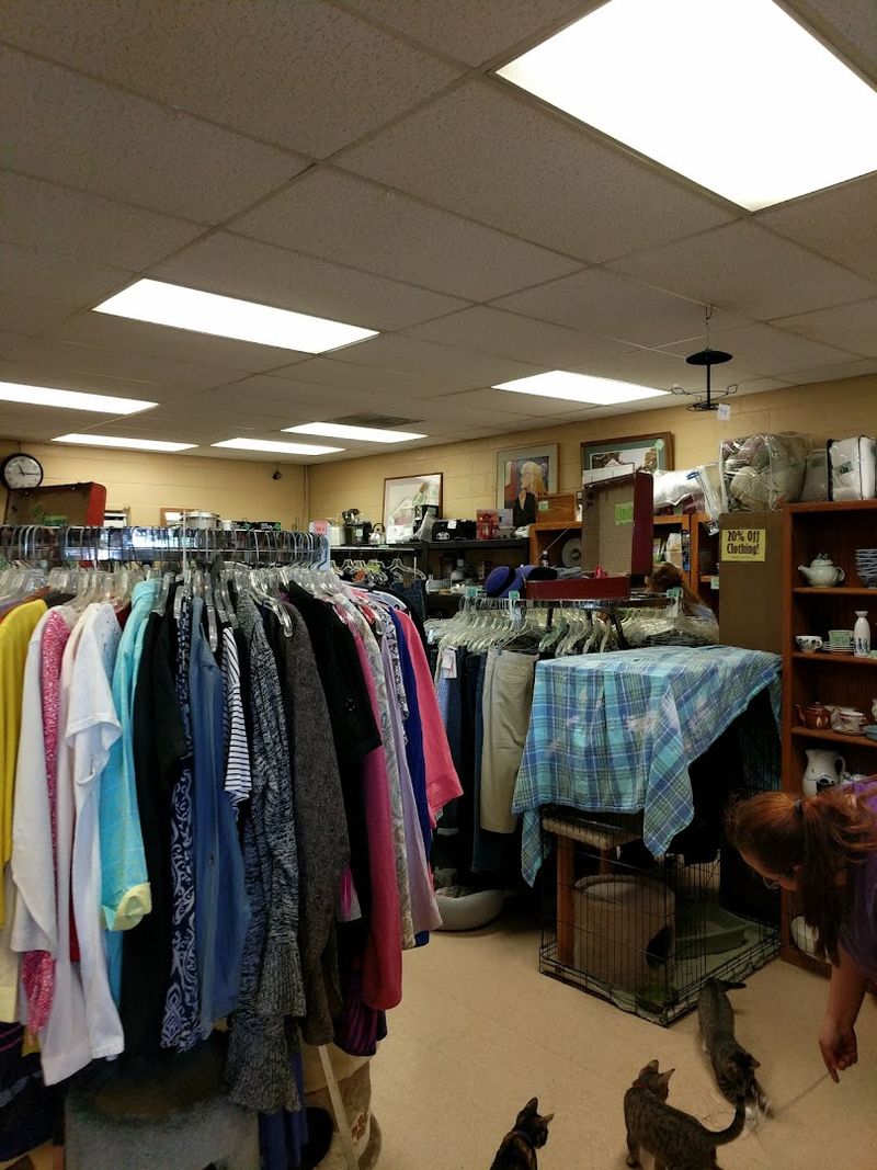This Oregon thrift store lets you shop for treasures and adopt a ...