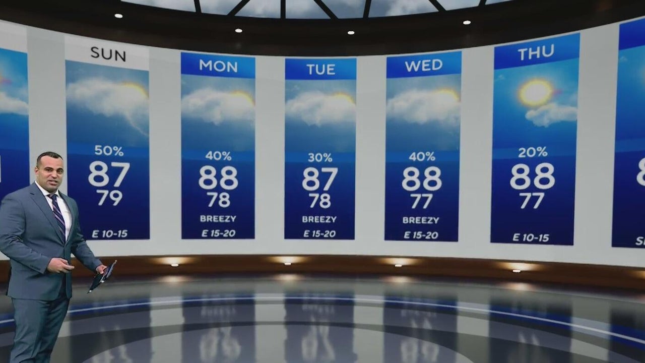 Sunny weekend in South Florida with storms to be in the forecast for ...
