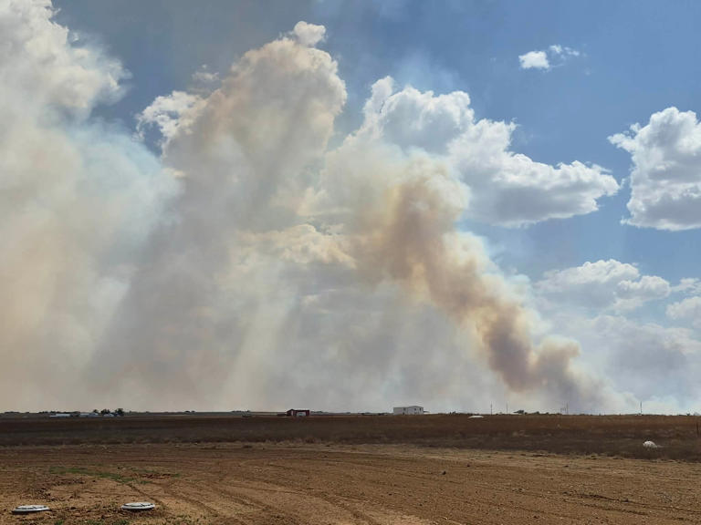 Stinky fire in Potter County is 100% contained