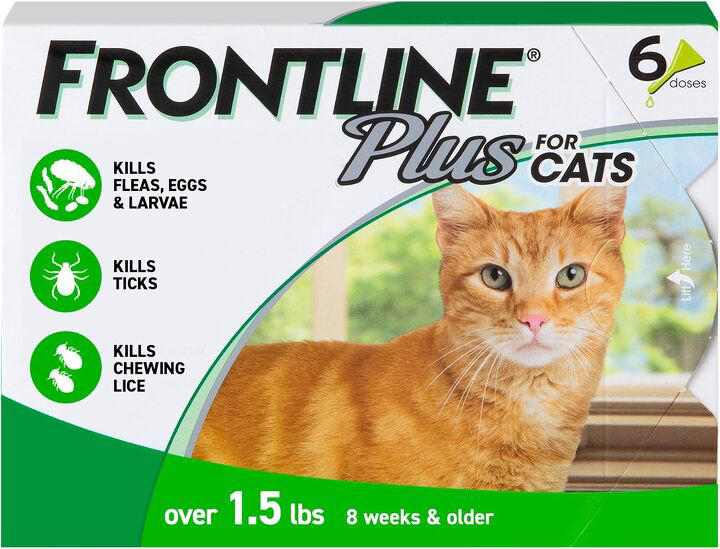 How to protect your cat from ticks