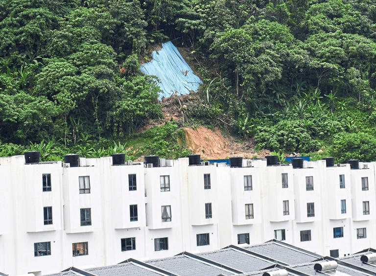 Stop-work order on hillside project