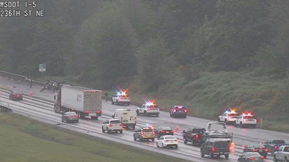 Driver arrested, dogs missing after Arlington road rage crash, alleged ...