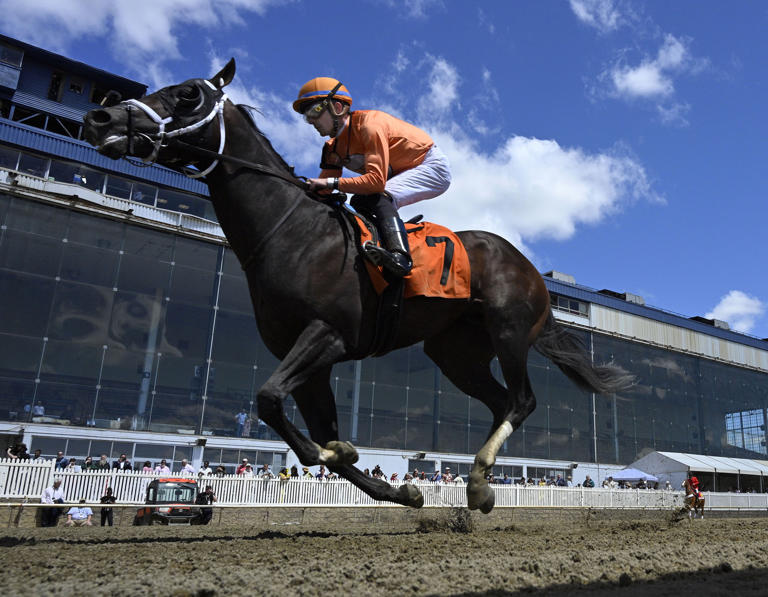 Hit Zero owner: I don't question care horse received before death at ...