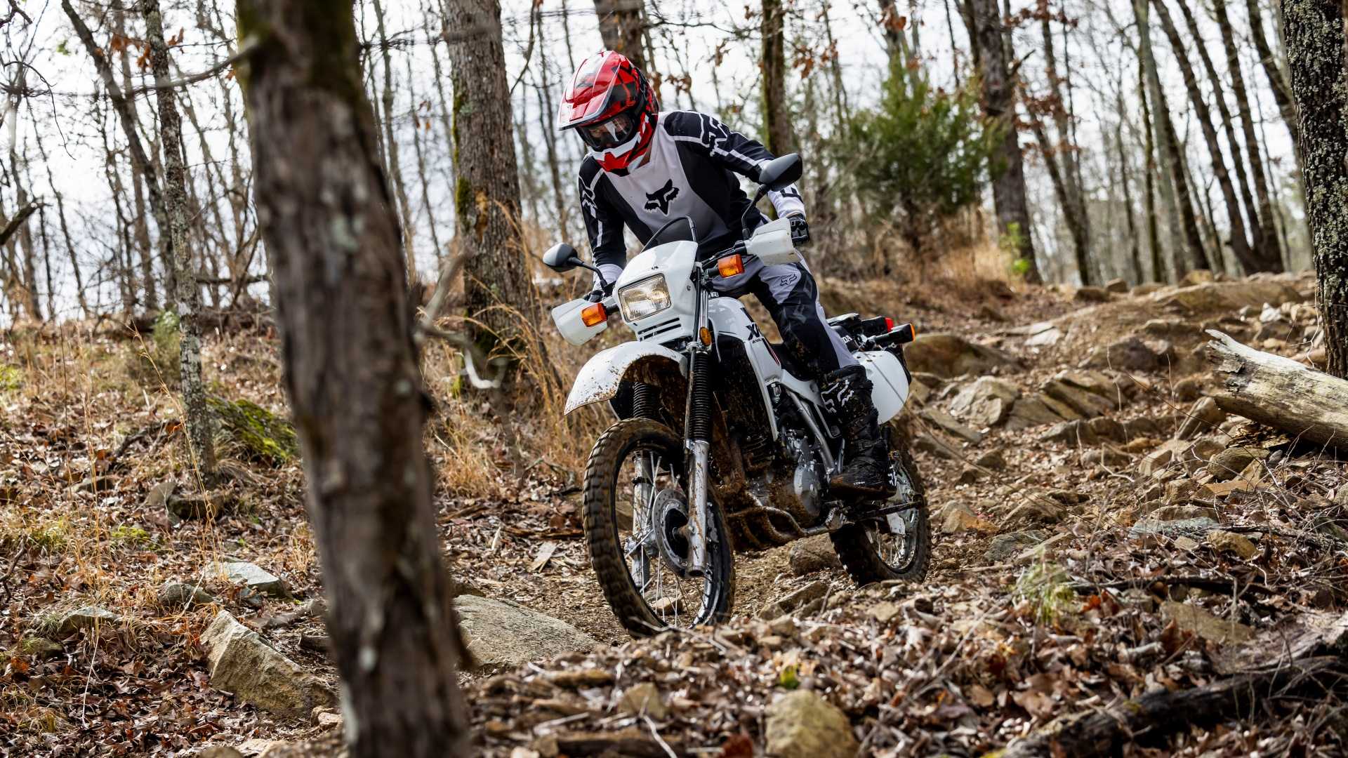 An action shot of a 2023 Honda XR650L off-road