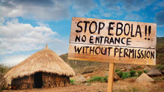 What is the Bundibugyo strain of the Ebola virus that has killed 80 ...